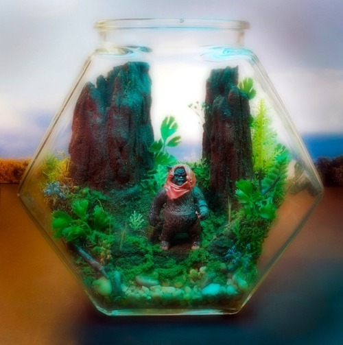 from89:  Star Wars Terrariums (by Tony Larson)   This is awesome, although I’ve never seen Star Wars haha