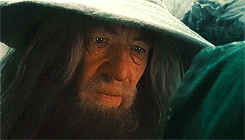 ibong-adarna:  hardyinacardigan:  “… why don’t i remember this, lotr” I barely
