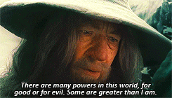 ibong-adarna:  hardyinacardigan:  “… why don’t i remember this, lotr” I barely