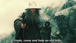 ibong-adarna:  hardyinacardigan:  “… why don’t i remember this, lotr” I barely