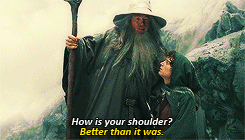 ibong-adarna:  hardyinacardigan:  “… why don’t i remember this, lotr” I barely