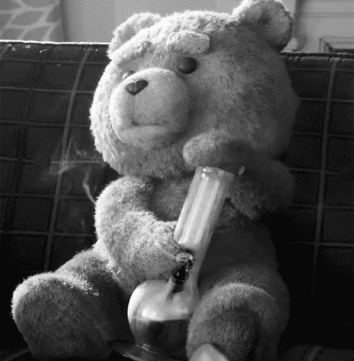 condhi:  i want a best friend bear