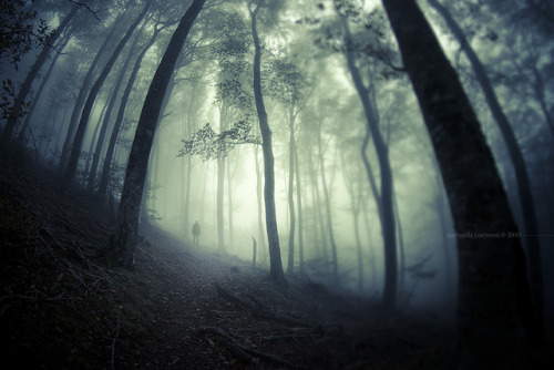 sorayami:  In Search Of The Divine by Midnight - digital on Flickr. 