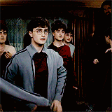 dragonborn:  Harry Potter meme: two movies » Deathly Hallows Part 1 [2/2]. These