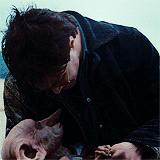 dragonborn:  Harry Potter meme: two movies » Deathly Hallows Part 1 [2/2]. These