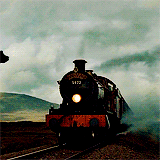 dragonborn:  Harry Potter meme: two movies » Deathly Hallows Part 1 [2/2]. These