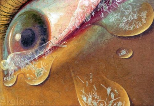 &ldquo;Symbiosis 5 Microorganism&rdquo;by Fuco Ueda