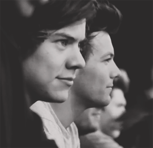 verystyles:   +  