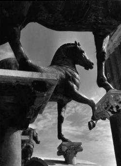 regardintemporel:  Herbert List - The Horses of San Marco, Venice, 1939 