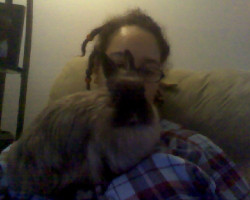 This Is How I Blog Lol