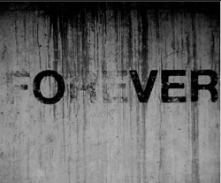 Live Fast. Die Young. Be Wild And Have Fun.