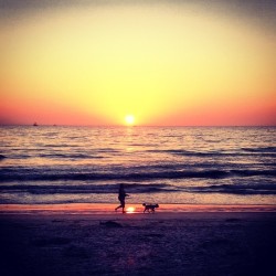 ashtea:  Last night was perfect with @m_eguiza 💏 #igerssandiego#sunsets#sandiego#delmar#beach#beaches#sun#perfect#love#dog#sandiegosunsets#beachlife (Taken with Instagram at Del Mar 29th Street Beach)