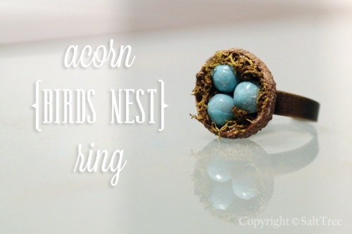 rainbowsandunicornscrafts:DIY Acorn Top Birds’ Nest Ring Tutorial from Salt Tree here. Kids could he