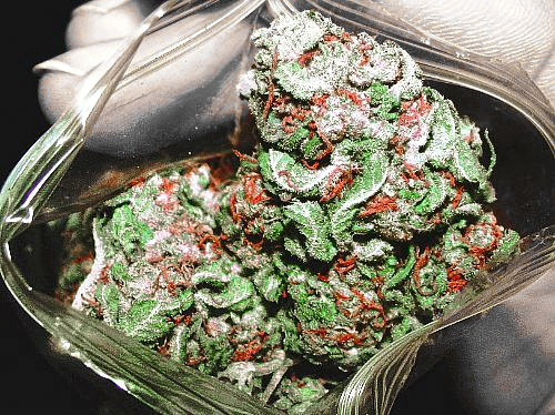 rosesandkelly:  sophrosyne-stoner:  This shit look like Christmas  Tis the season