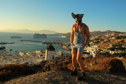 This is Lagos Louloudi. He&rsquo;s &ldquo;the Bunny that stands like a Flower&rdquo; haha!! Mykonos, Greece ♥ - 2012 ** follow me on Instagram &amp; Twitter: PhotogAGuerra **