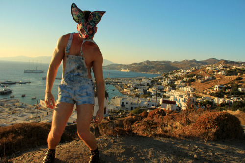 This is Lagos Louloudi. He’s “the Bunny that stands like a Flower” haha!! Mykonos, Greece ♥ - 2012 ** follow me on Instagram & Twitter: PhotogAGuerra **