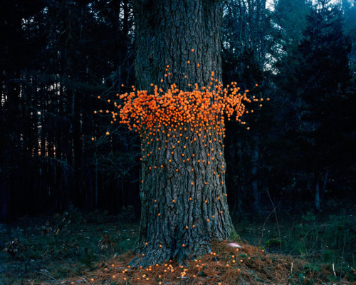 artchipel:  Thomas Jackson - Emergent behavior | Cheese balls