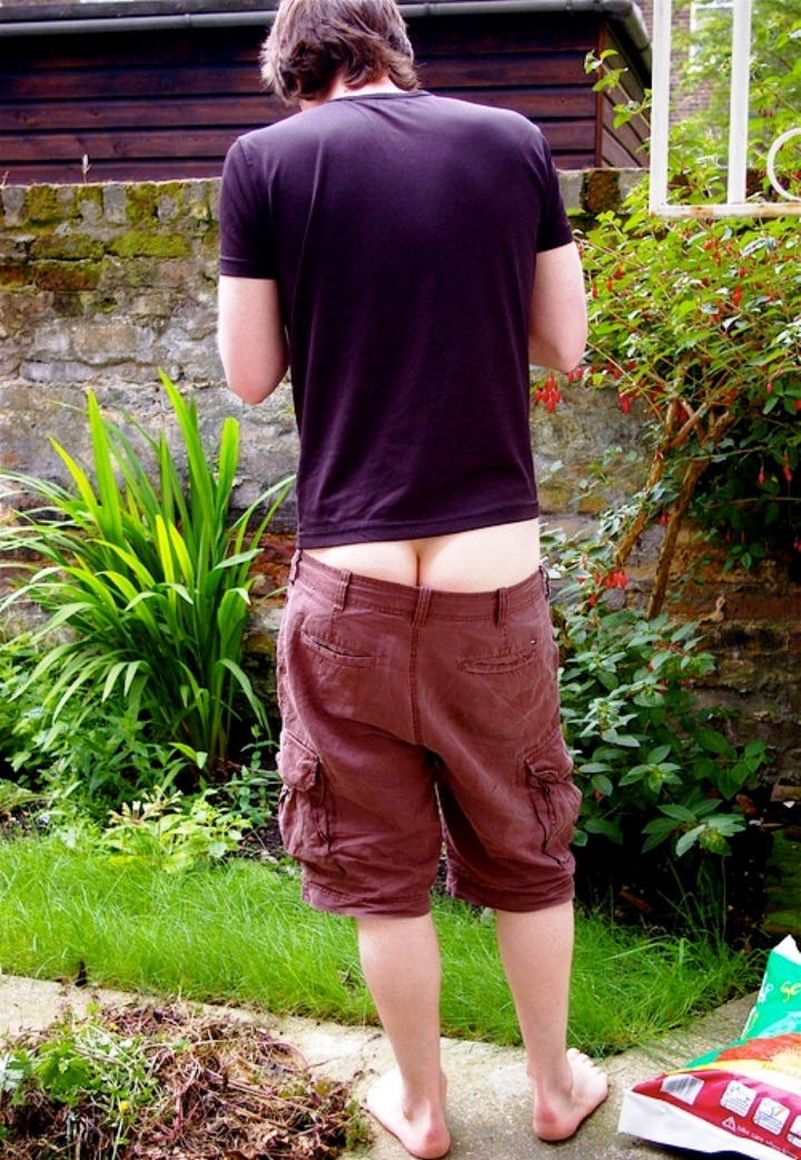 nydirty30:  (via Bill in Exile » Blog Archive » MY NEW GARDENER) 