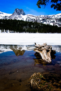 patagonia:  Mammoth Lakes, California Photo by Dan Kuras