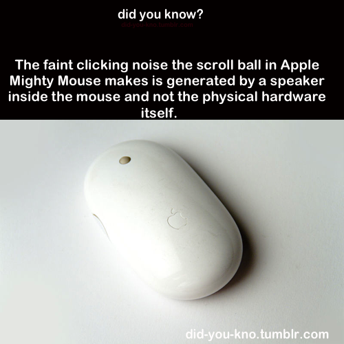 did-you-kno:  Source