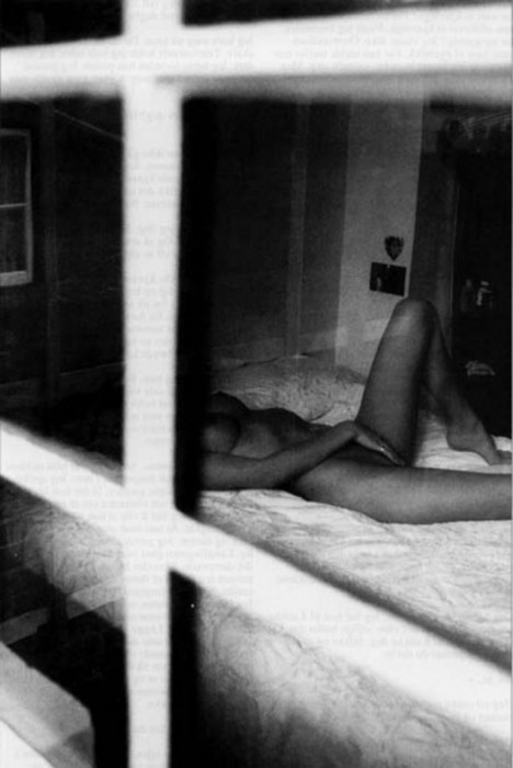 ginandfur:  mornin’ ease      (via TumbleOn)
