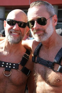 Bears, daddy, handsome older man, mature