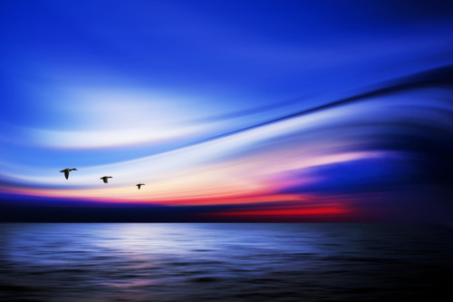 pedalfar:  500px / Photo “3 ducks” by Josh Adamski