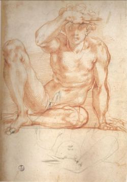 Disegno preparatorio - Poggio Caiano