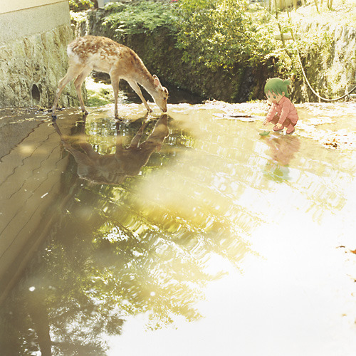 boku-no-mj:  kingcheddarxvii:   From the Yotsubato! Monthly 2012 Calendar Illustrations by Kiyohiko Azuma and photography by Miho Kakuta  Really really frickin’ adorable  oh my goSH YES BEST 