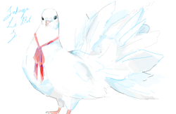 kujyakubato:  hmm don’t usually draw birds