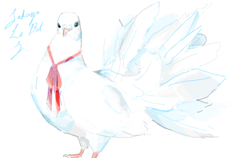 kujyakubato:  hmm don’t usually draw birds ww 