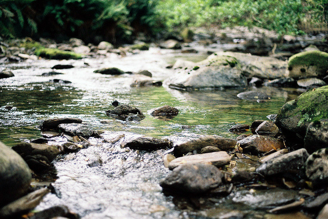 washedoveryou:  untitled by Ben Clinch on Flickr. 