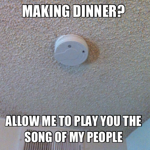 brainnsss-nom:  thedailymeme:  Stir fry for dinner tonight.  appropriate for last