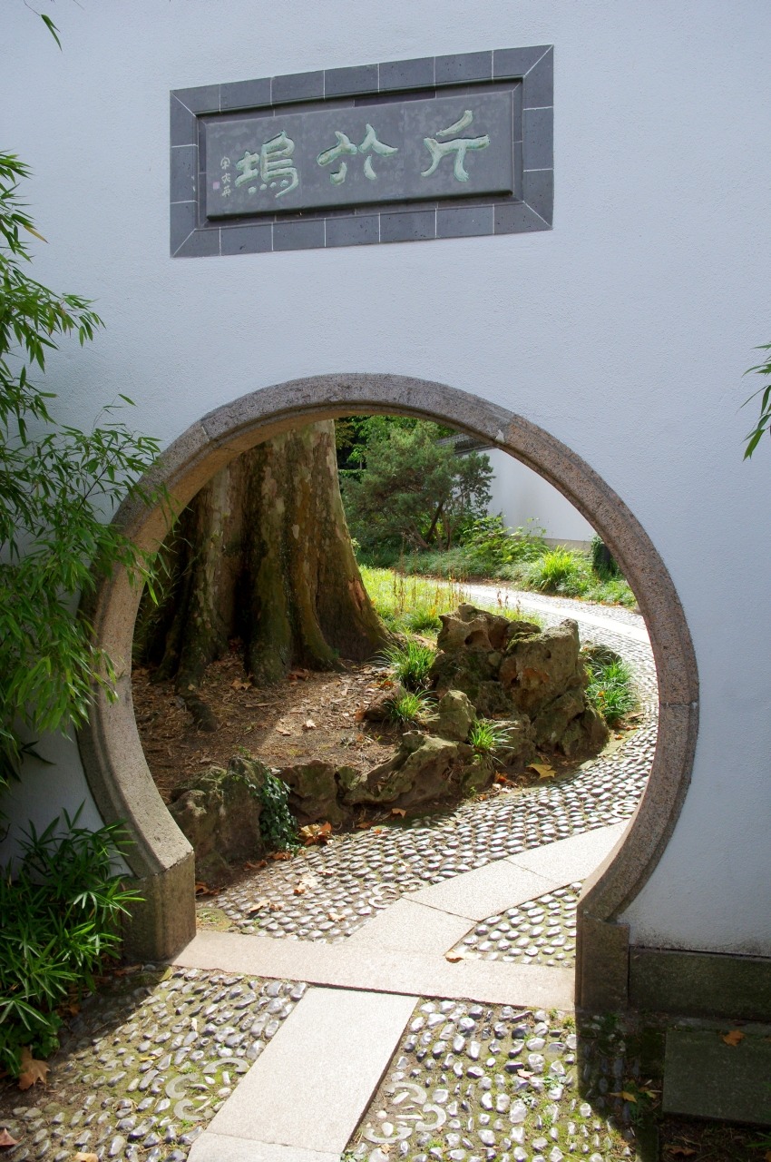 iLaurens