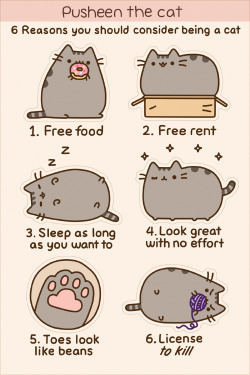 pusheen:  This Pusheen sticker sheet (6 stickers) is now available at Hey Chickadee!