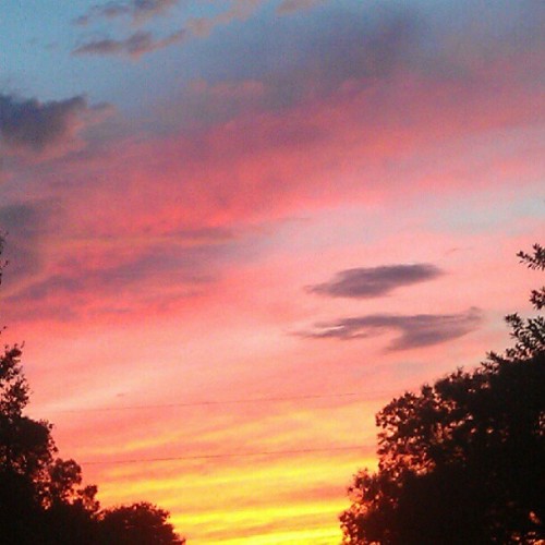 #sky #sunsets #pink #yellow #orange #trees #southflorida #Florida #772 #fortpierce #beautiful #noedi