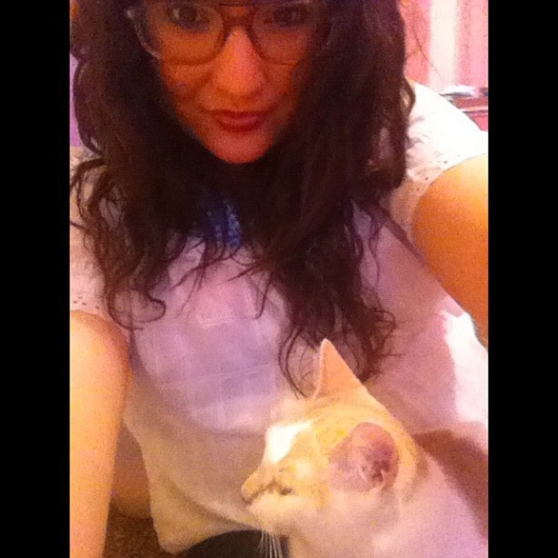 Starting my collection of 100 cats 🐱 #cat #crazyhair #instapussy #catwoman (Taken