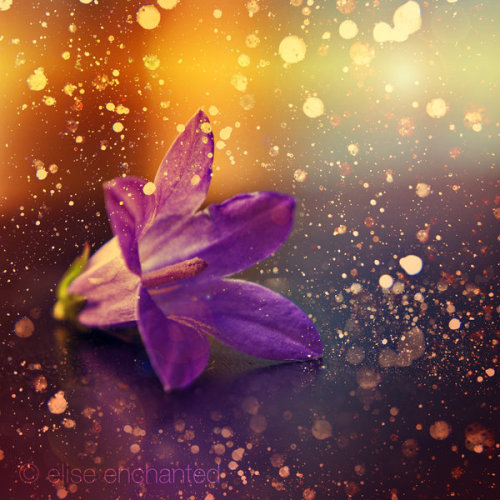 Burning memories by: EliseEnchanted