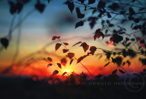 evening lights by: Orwald