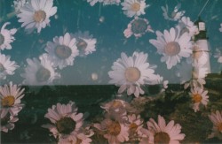cherry-and-also-bomb:  ✡❀✟ vintage/grunge✟❀✡ 