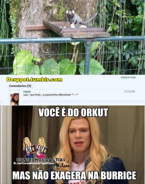 derppet:  kkkkkkkkkkkk 