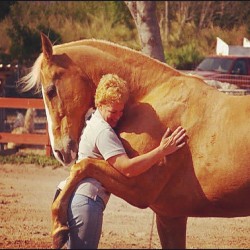 Horse/human love. #animals #hugs #love #horses #aww (Taken with
