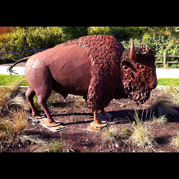 Iron buffalo at Peggy Notebart  Museum. #art #statue #outside #cool #iron #animal