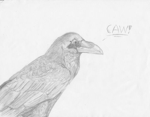 Oh, oh that’s my jam. Oh that’s my jam!… CAW?