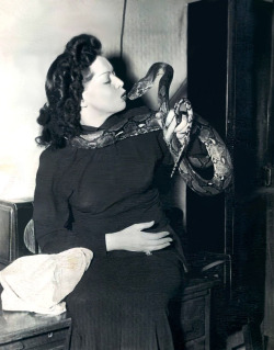 Zorita A News Service Press Photo Dated From &Amp;Lsquo;49, Shows Zorita With One