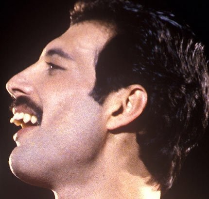 allmylovinjohn:Freddie Mercury