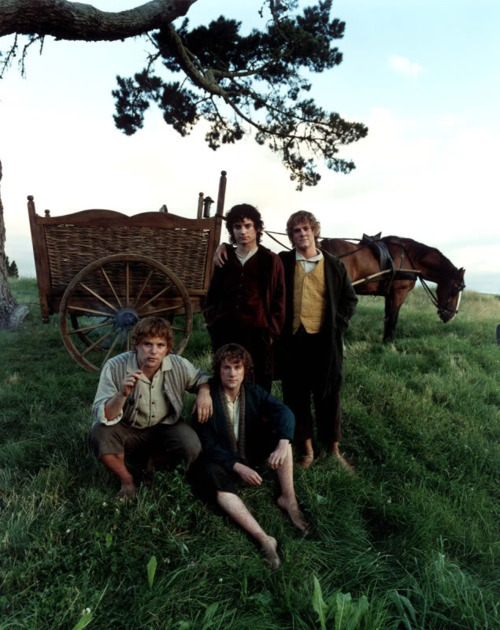 l0thl0rien:  ◊~Enter this Middle Earth~◊ 