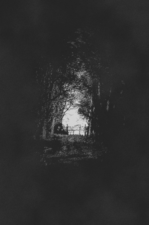 Profound Ambivalence
