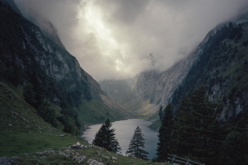 mountainish: (by gardendier)