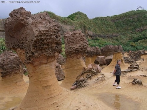 Yehliu Geopark, Taiwan. I went there with a friend on Sunday.The place has some of the most amazing 